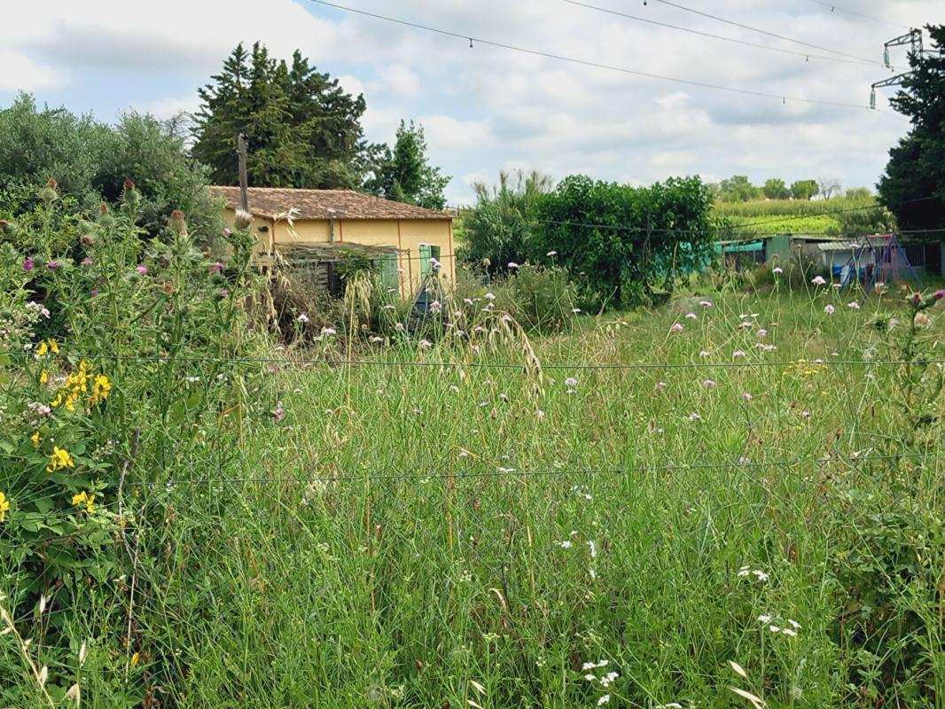 BEZIERS TERRAIN AVEC MAZET  et batiment agricole à Espondeilhan 12