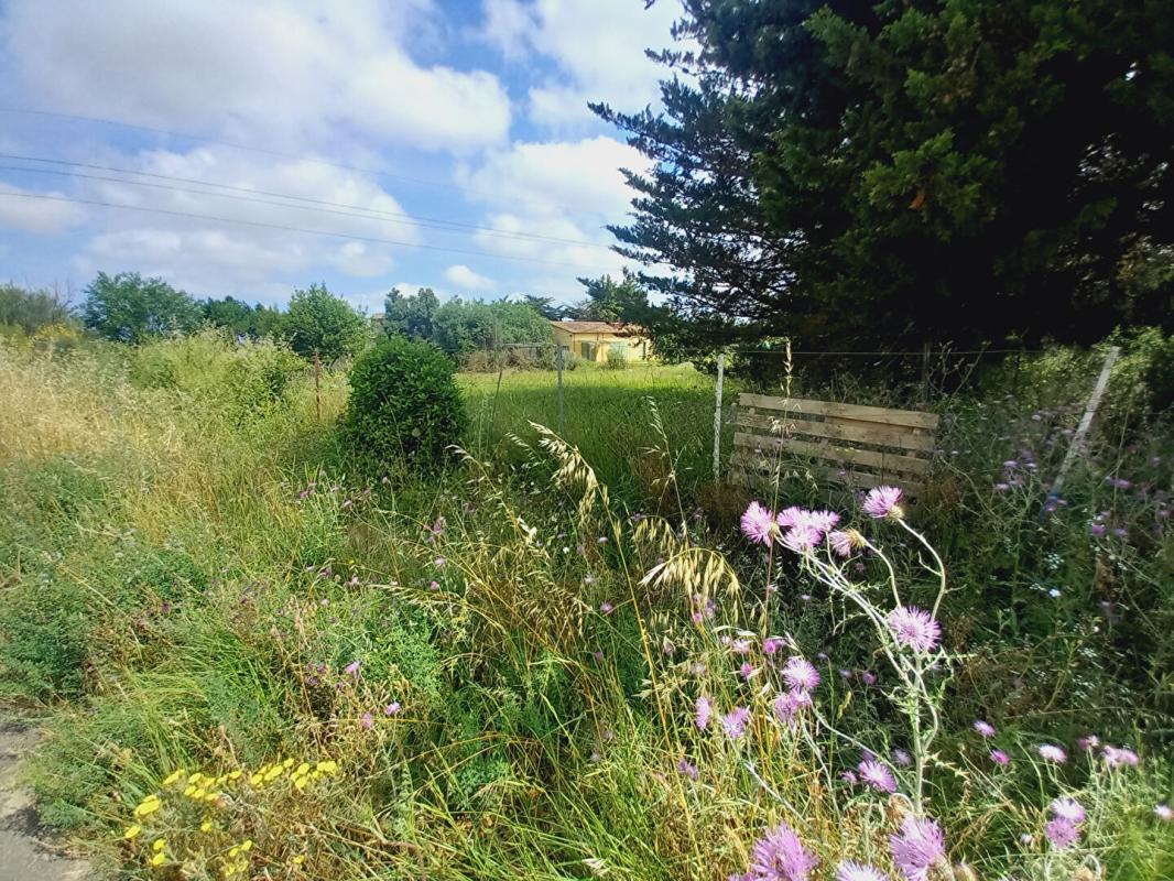 BEZIERS TERRAIN AVEC MAZET  et batiment agricole à Espondeilhan 13