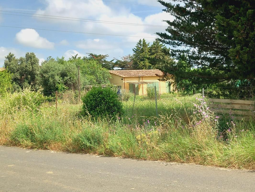 BEZIERS TERRAIN AVEC MAZET  et batiment agricole à Espondeilhan 5