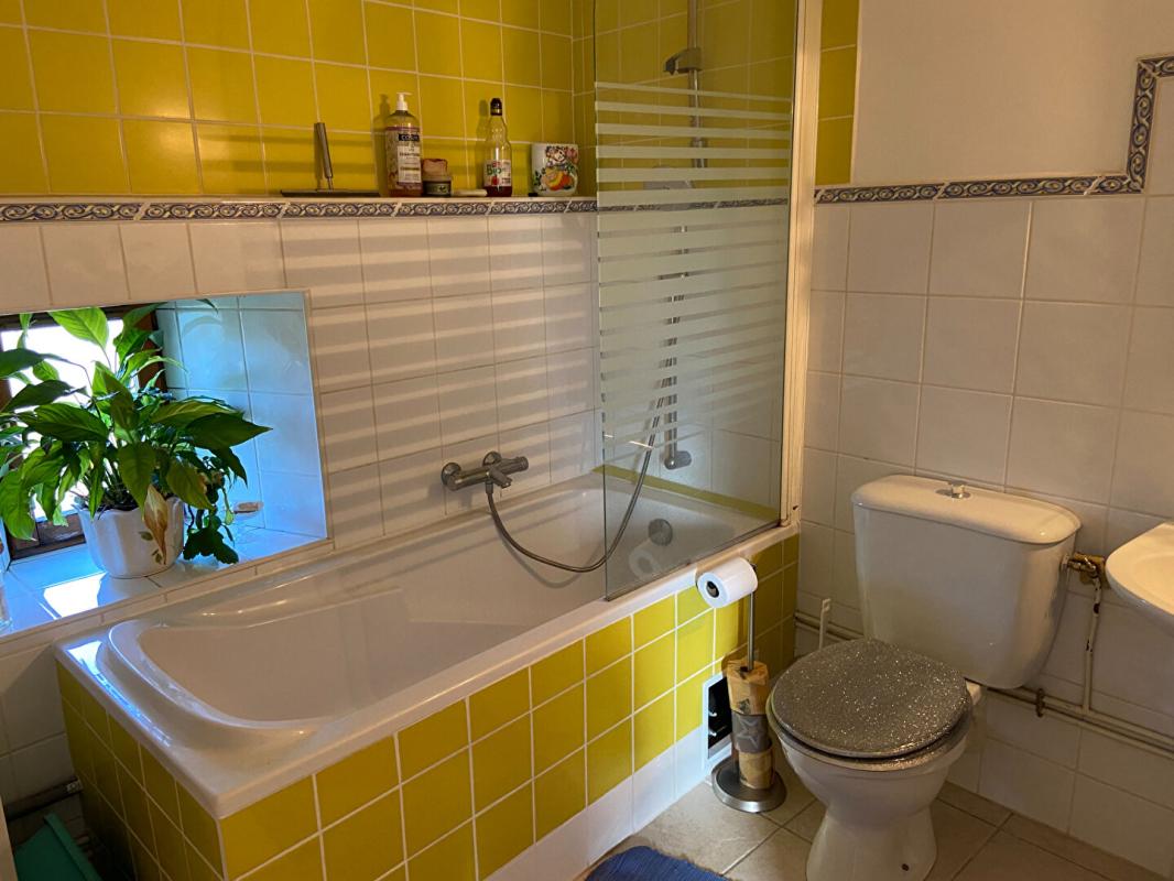 MARSANNE Maison + 3 gîtes 11 pièces 330 m2 9