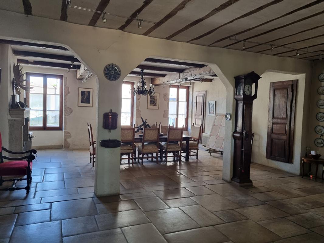 CHATEAUNEUF-SUR-CHER DEMEURE BOURGEOISE DU 19ème siècle au centre de CHATEAUNEUF SUR CHER 15