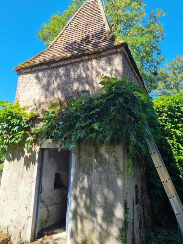 CHATEAUNEUF-SUR-CHER DEMEURE BOURGEOISE DU 19ème siècle au centre de CHATEAUNEUF SUR CHER 16