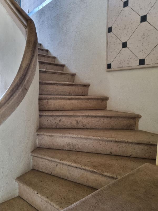 CHATEAUNEUF-SUR-CHER DEMEURE BOURGEOISE DU 19ème siècle au centre de CHATEAUNEUF SUR CHER 4