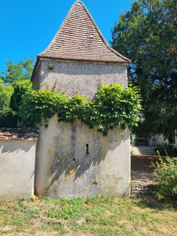 CHATEAUNEUF-SUR-CHER DEMEURE BOURGEOISE DU 19ème siècle au centre de CHATEAUNEUF SUR CHER 9