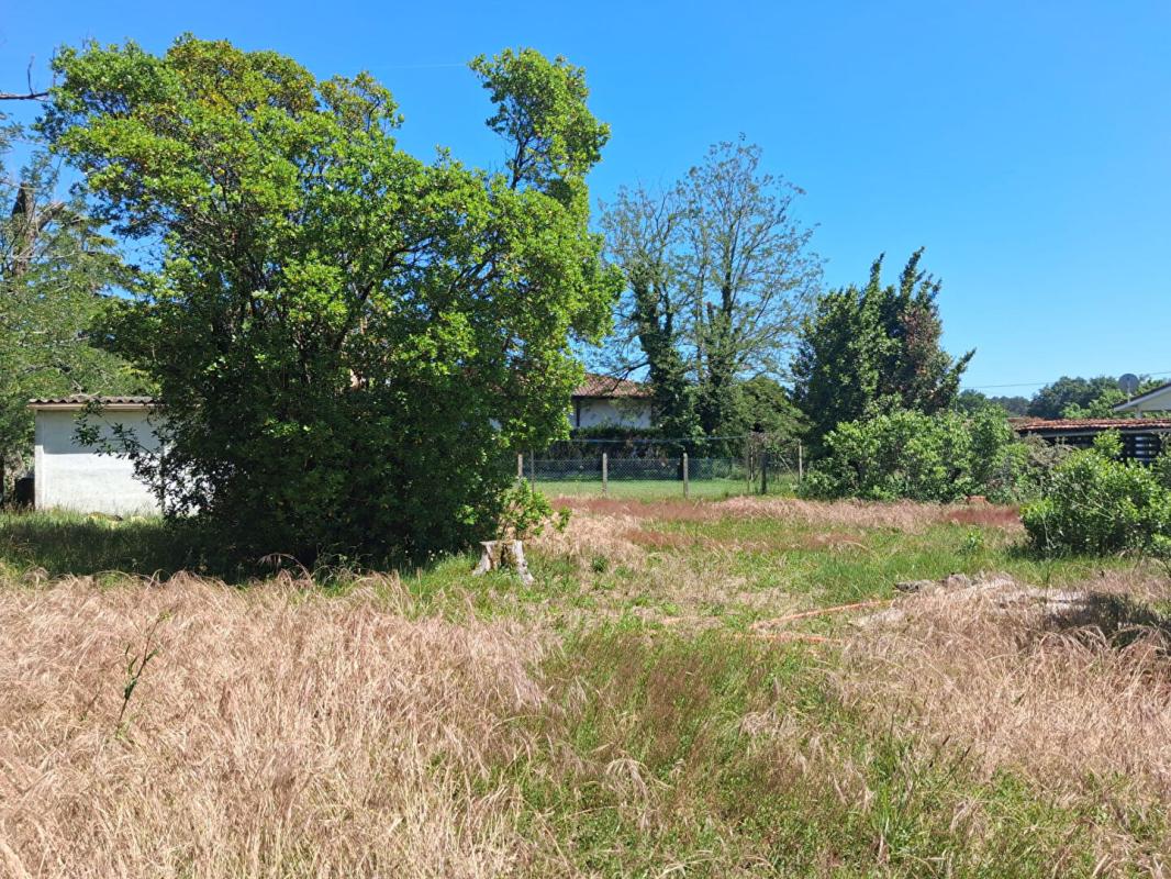 BELIN-BELIET Terrain Belin-Beliet 2