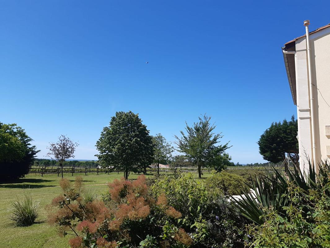 SAINT-PALAIS Ensemble immobilier de 2 maisons 364 m2 - revenu  locatif - PRIX 375 000 15
