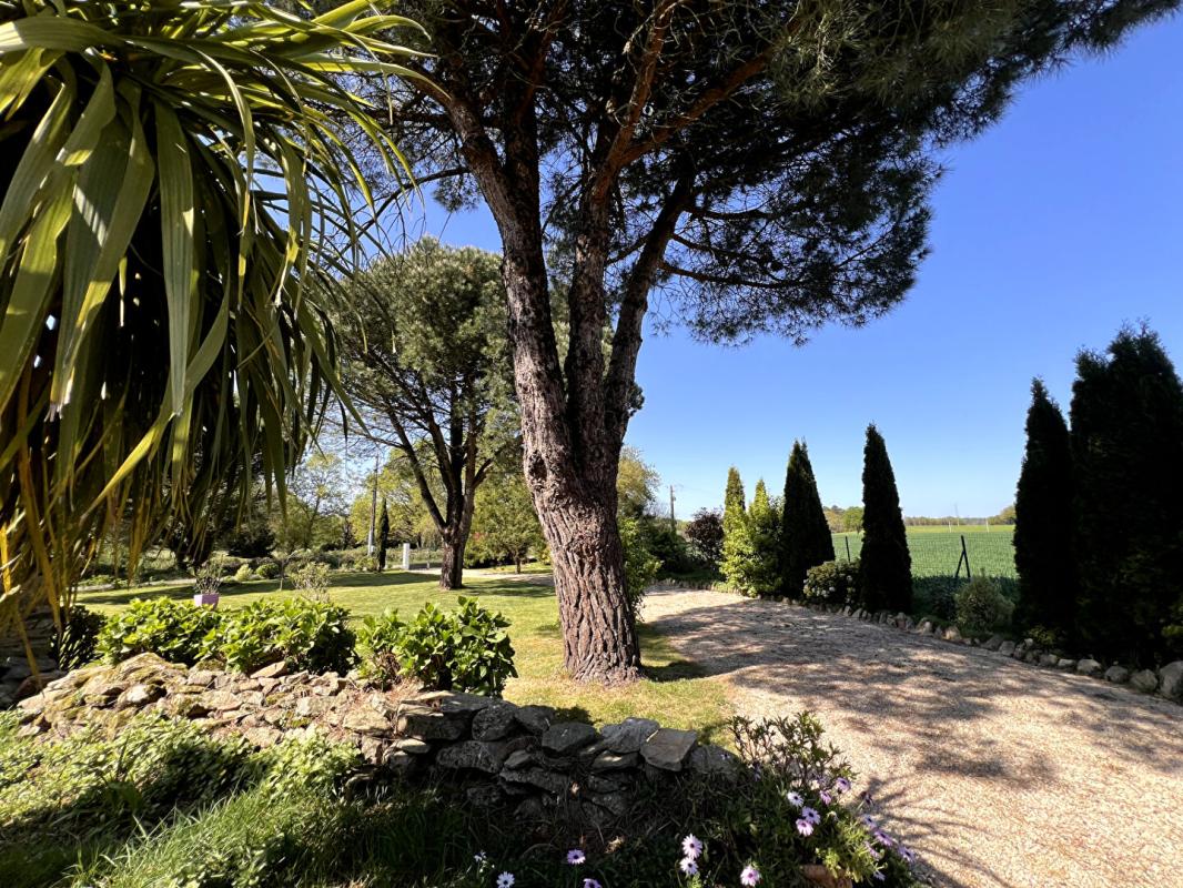 PLUVIGNER Magnifique chaumière de 225 m2- 4 ch- Annexes- piscine 5