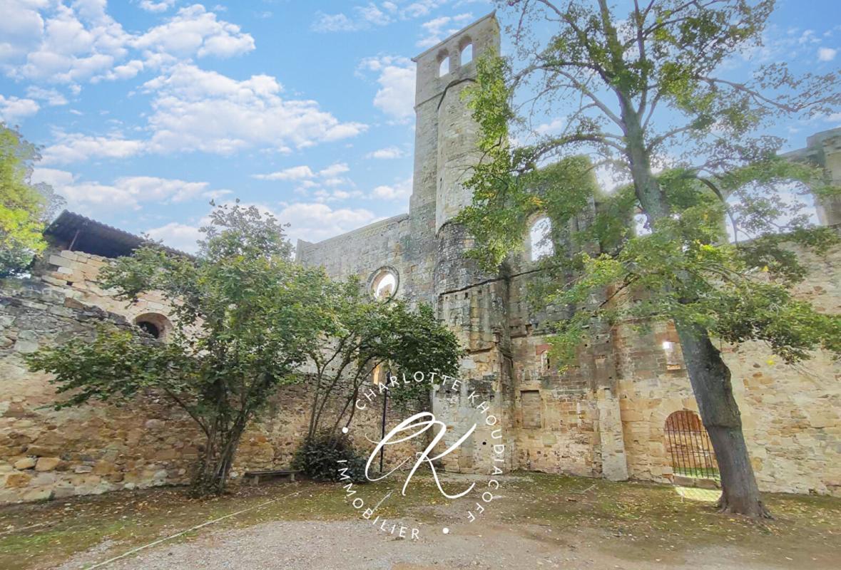 LIMOUX Bien d'exception et de charme avec magnifique parc arboré 18