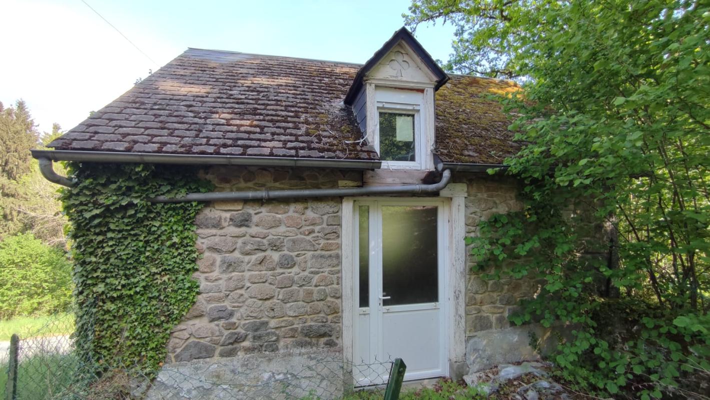LIGINIAC Maison bourgeoise avec dépendances et parcelle de bois à Liginiac 19160 15