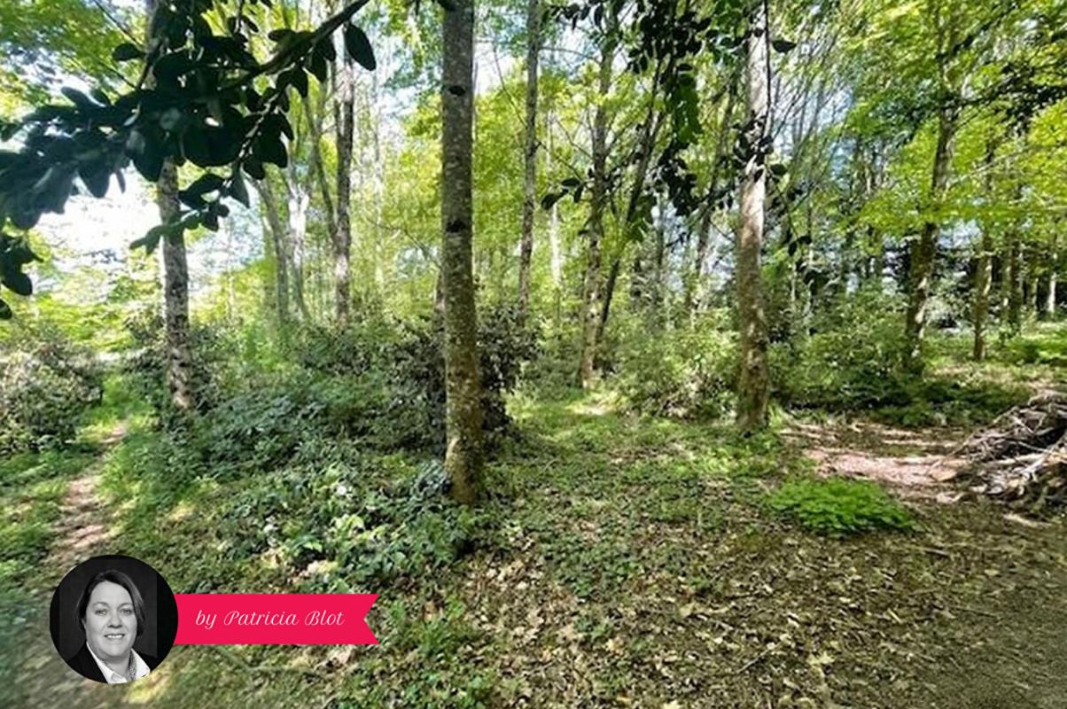 PLUHERLIN Coup de coeur assuré - Maison familiale 149 m² avec grand terrain arboré 3