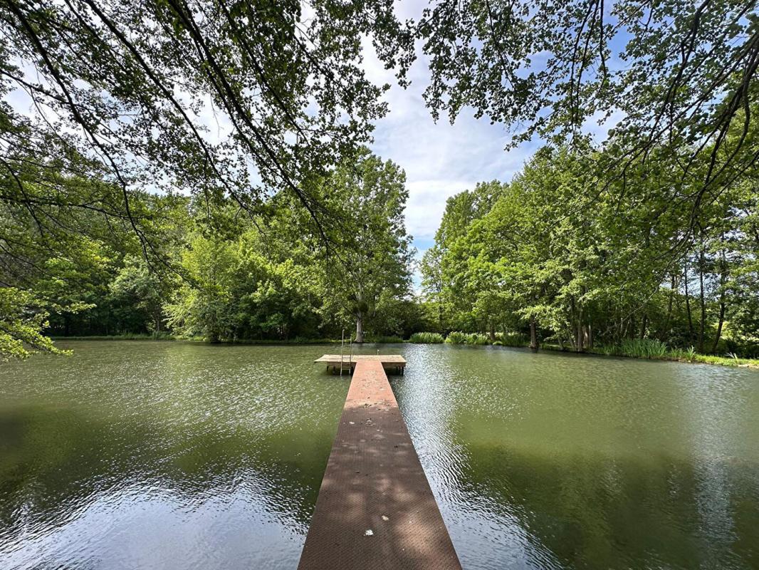 SAINT-GERMAIN-DES-PRES A VENDRE VASTE PROPRIETE Composée de DEUX HABITATIONS et UN STUDIO, ETANG bordée par rivière sur plus de 4,5 Hectares 9