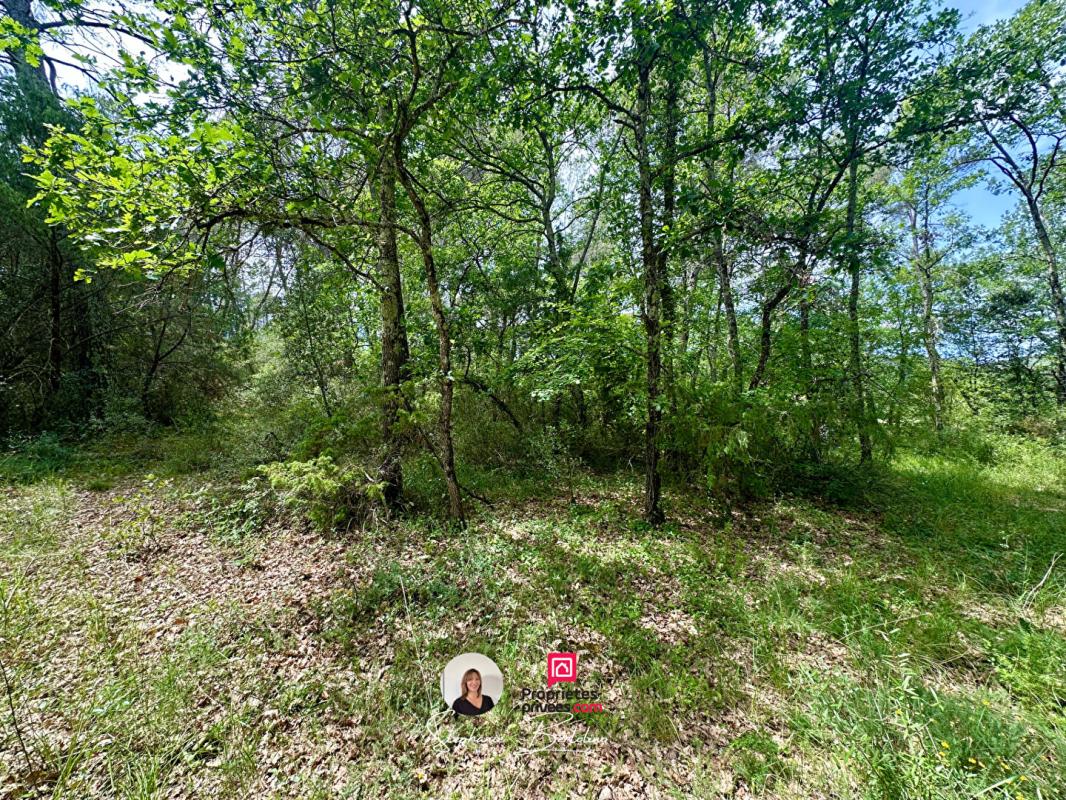 TRANS-EN-PROVENCE Terrain plat de 7530 m2 1