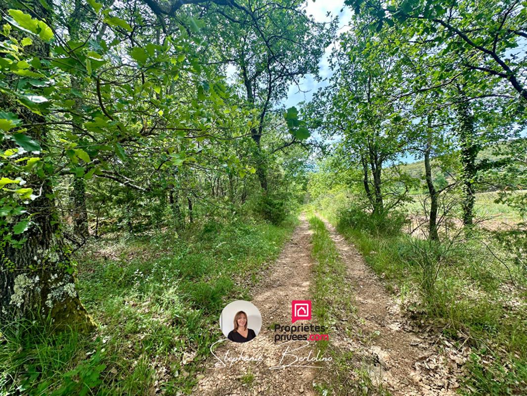 TRANS-EN-PROVENCE Terrain plat de 7530 m2 3