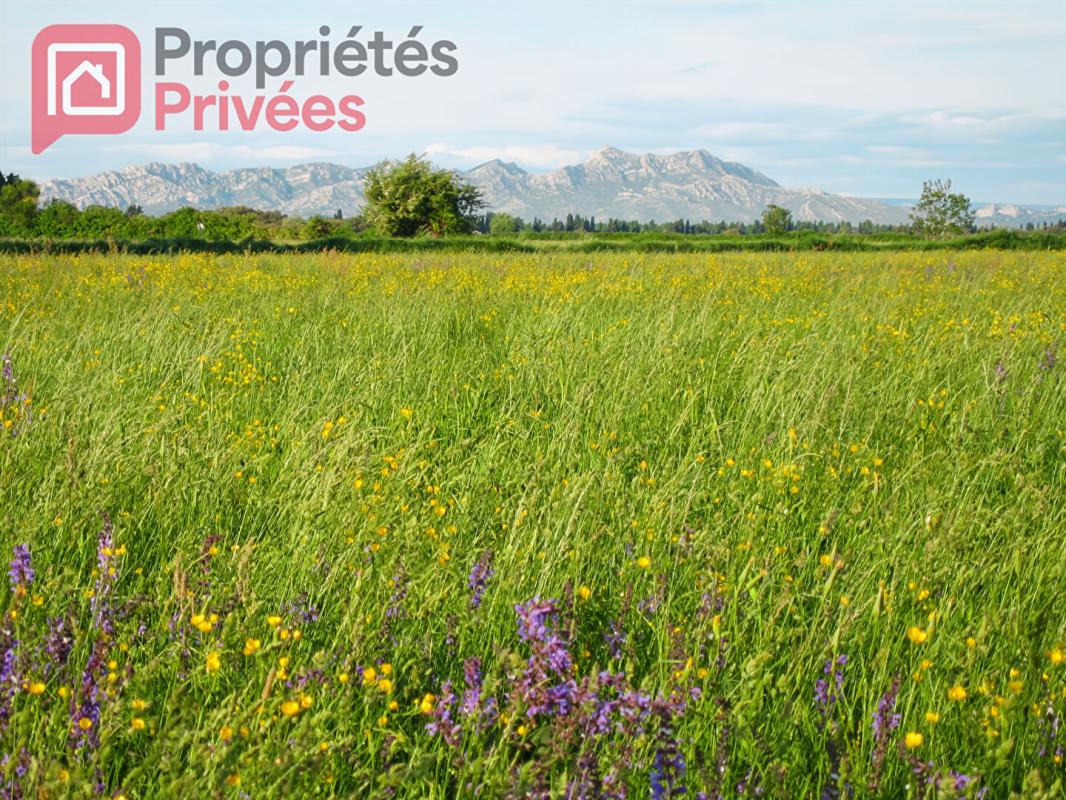 SAINT-MARTIN-DE-CRAU MANDAT EXCLUSIF - Terrain à Batir - Saint Martin De Crau 3