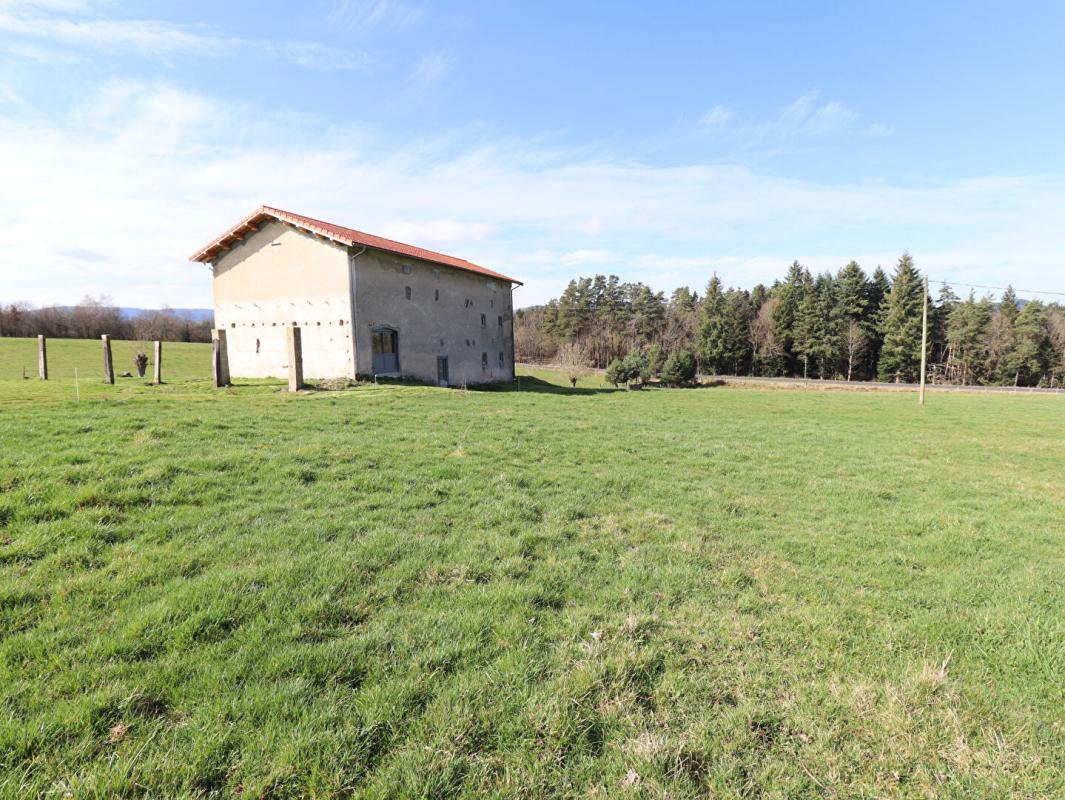 AMBERT Maison Ambert 6 pièces +/-250 m2 + 3ha de terrain environ 16