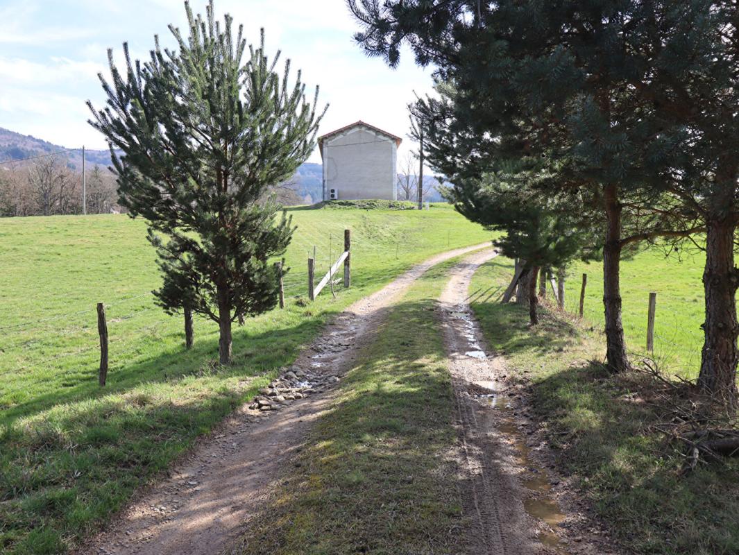 AMBERT Maison Ambert 6 pièces +/-250 m2 + 3ha de terrain environ 17
