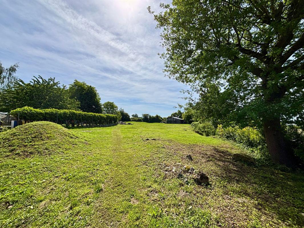 SAINT-ELOI Maison sur sous-sol Saint Eloi de 110 m2 - 3 chambres - 4024m² de terrain 17