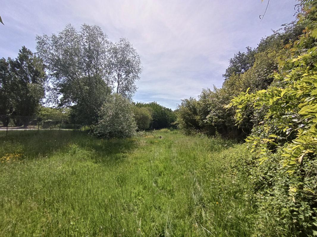 CHAMPVERT CHAMPVERT - LONGERE 110 M2 6