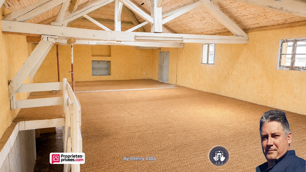 PONT-D'AIN PONT D AIN - MURS COMMERCIAUX 282 m², local libre avec parking 6