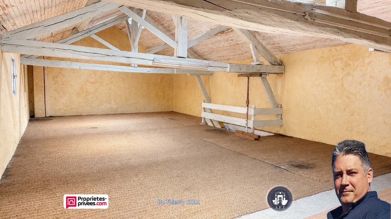 PONT-D'AIN PONT D AIN - MURS COMMERCIAUX 282 m², local libre avec parking 8