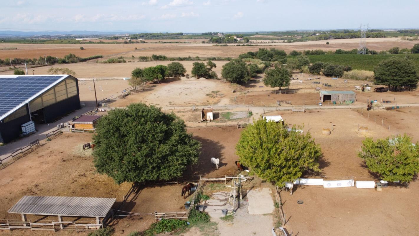SERVIAN Propriété équestre avec gites et habitations - Servian - 815 000 euros 1