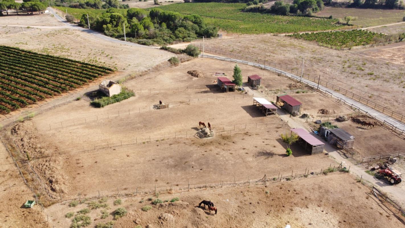 SERVIAN Propriété équestre avec gites et habitations - Servian - 815 000 euros 5
