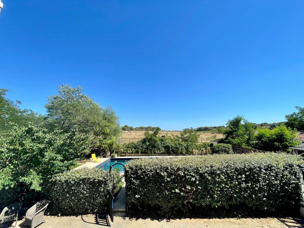 SERVIAN Propriété avec gîtes et écuries - Servian - 592 000 euros 13