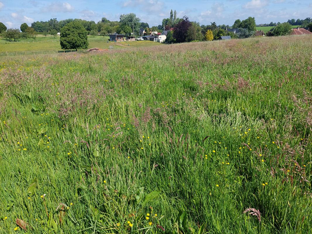 LA FRENAYE Ancien corps de ferme avec dépendances 1.3 Hectare 14
