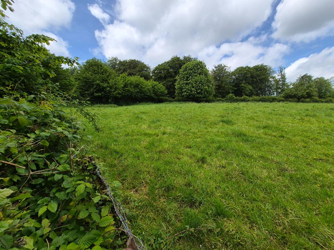 FRESSIN Maison d'exception à Fressin 12 pièce(s) 218 m² 15