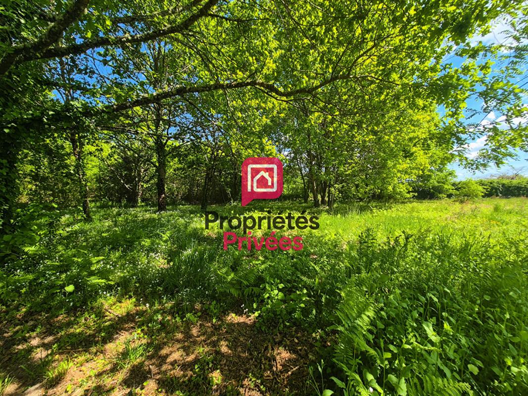 BAZAS Ensemble foncier 14 321 m2 - 2 Terrains constructibles + bois attenant 2