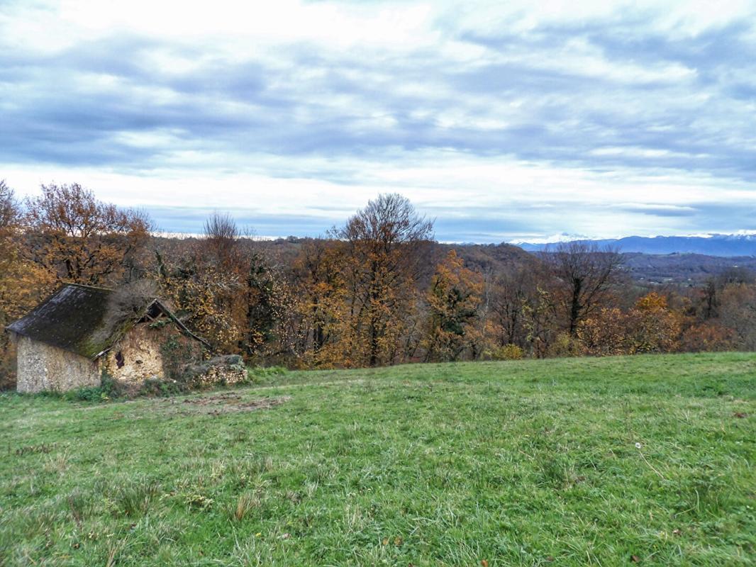 GAN Propriété à rénover avec grand terrain et panorama sur les Pyrénées 9