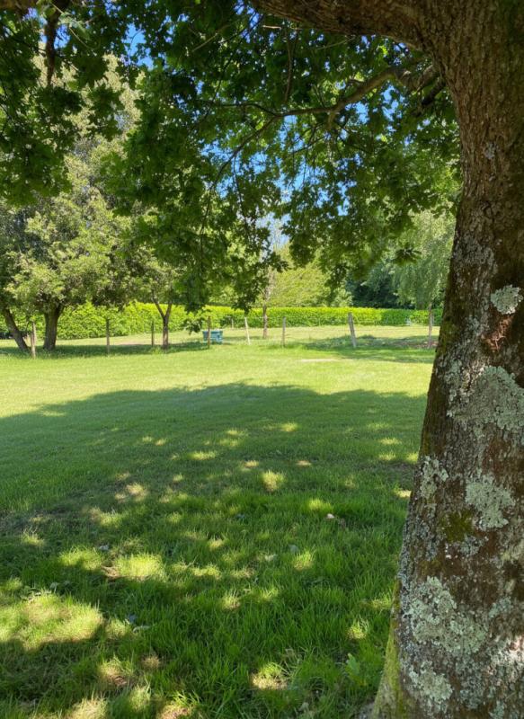 PLESCOP Plescop 5' de Vannes calme maison de 155M2 sur une parcele 1500M2 3