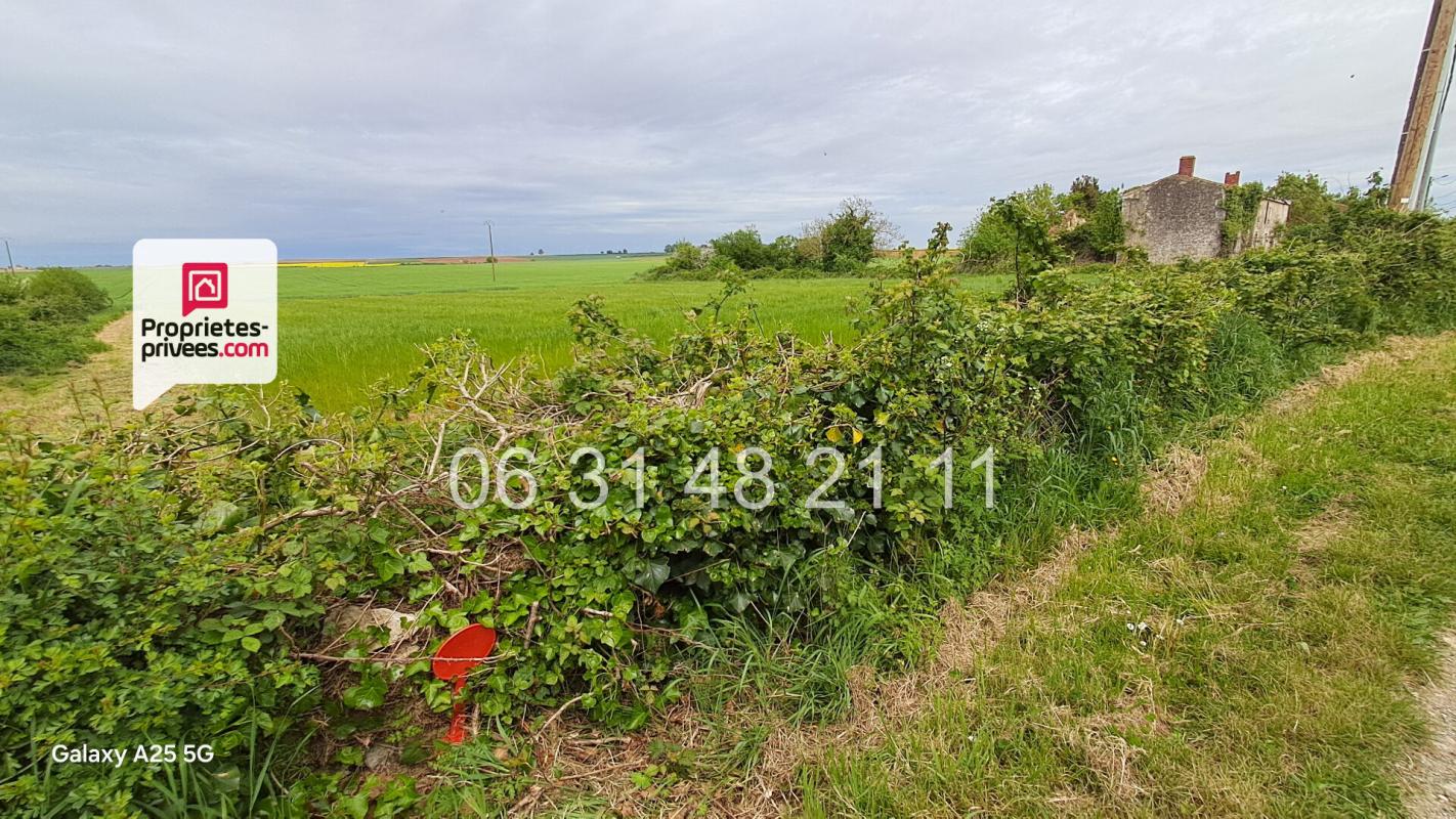 MONTREUIL TERRAIN CONSTRUCTIBLE 1621 M2 NON VIABILISE 2