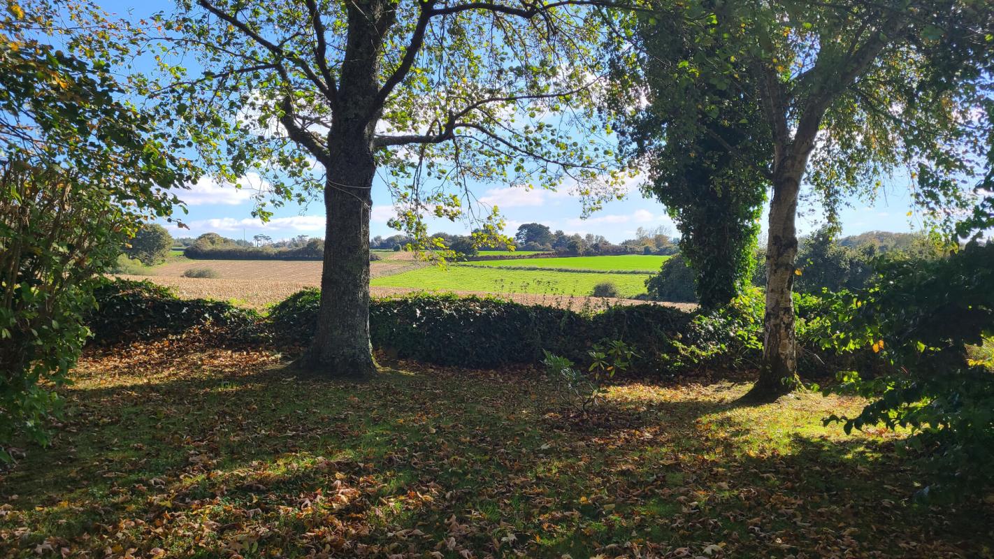 SAINT-JEAN-DU-DOIGT Magnifique longère 6