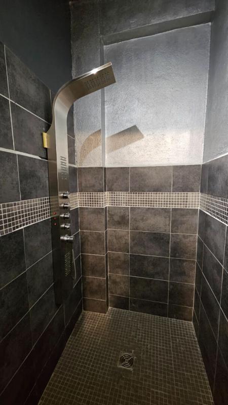 AGEN Appartement ou local professionnel AGEN 153.99 m2 9