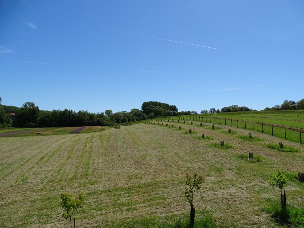 SAINTE-ORSE Maison Sainte Orse 4 pièce(s) 135 m2 16