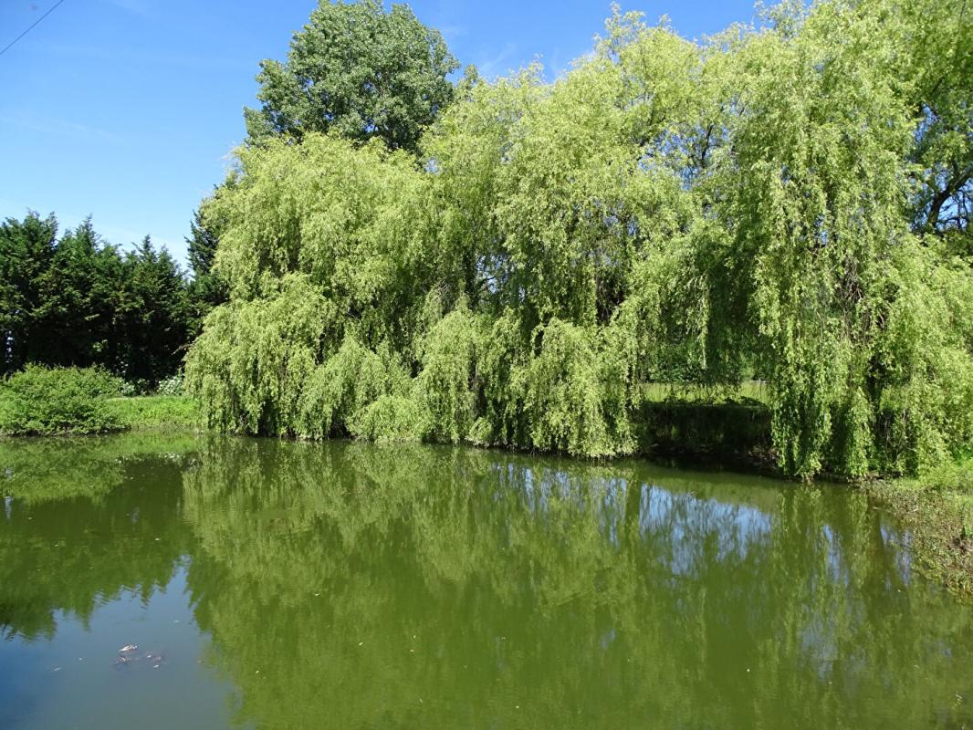 SAINTE-ORSE Maison Sainte Orse 4 pièce(s) 135 m2 2