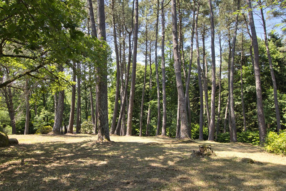 CASTRES LOCAL D'ACTIVITE, ENTREPOTS sur  3,6 hectares - Ancien site granitier 17