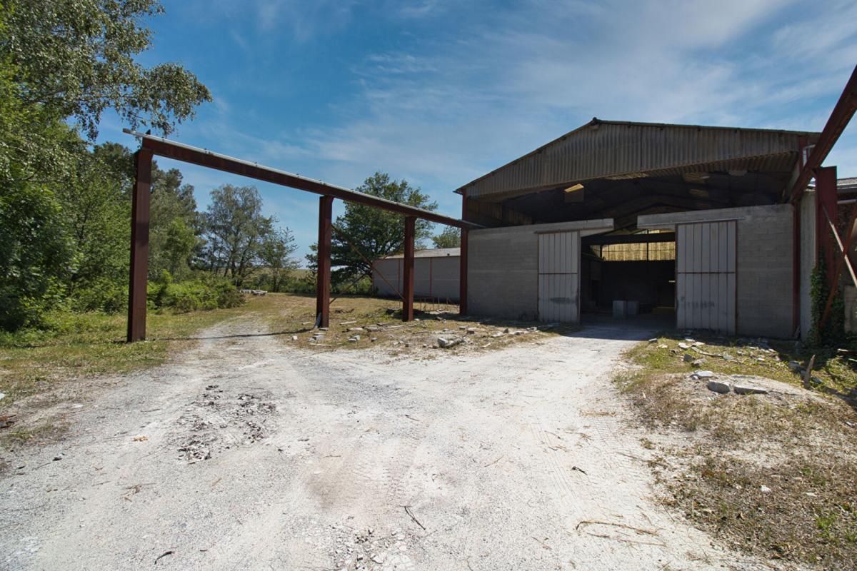 CASTRES LOCAL D'ACTIVITE, ENTREPOTS sur  3,6 hectares - Ancien site granitier 5