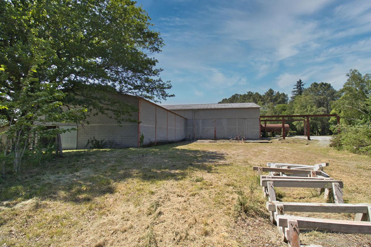CASTRES LOCAL D'ACTIVITE, ENTREPOTS sur  3,6 hectares - Ancien site granitier 6