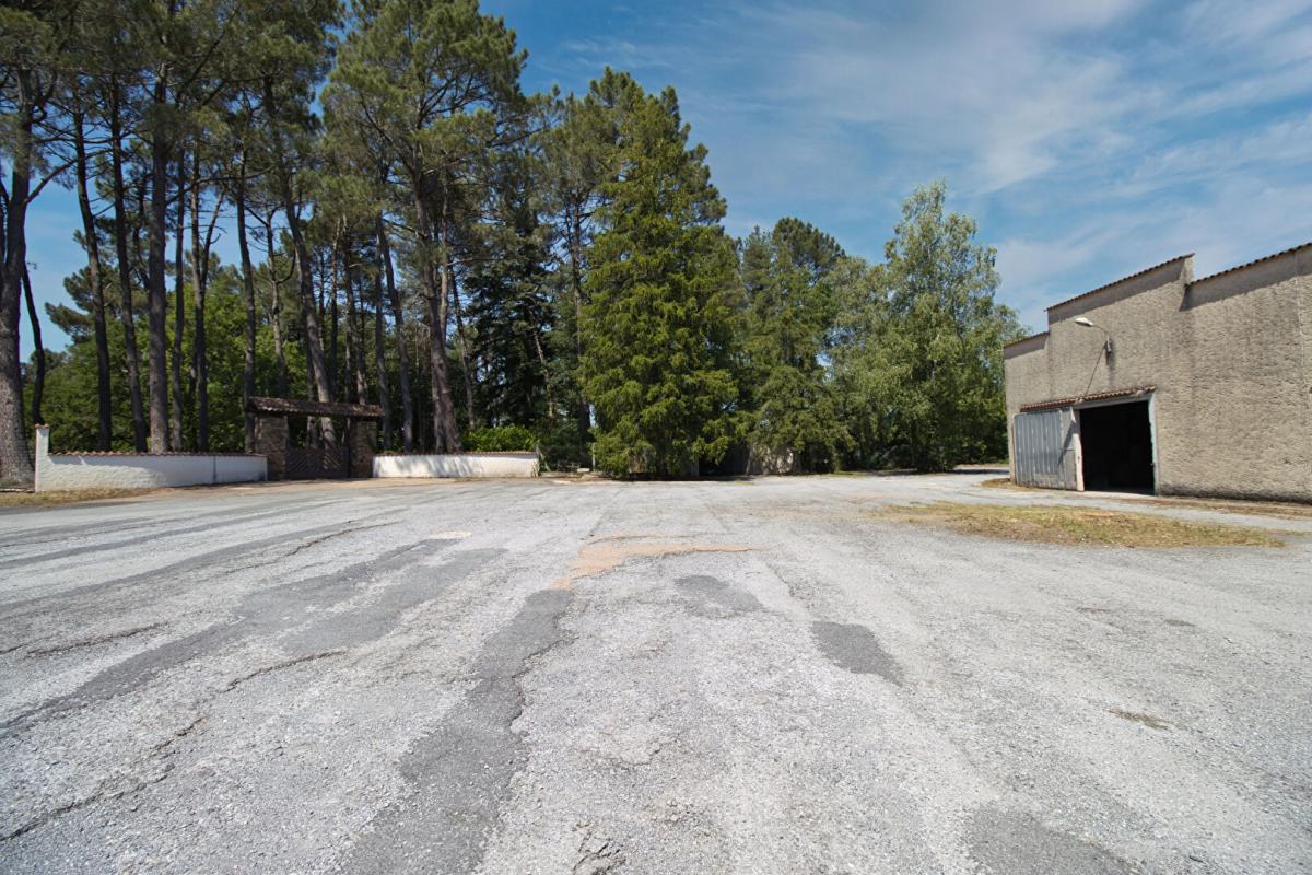 CASTRES LOCAL D'ACTIVITE, ENTREPOTS sur  3,6 hectares - Ancien site granitier 7