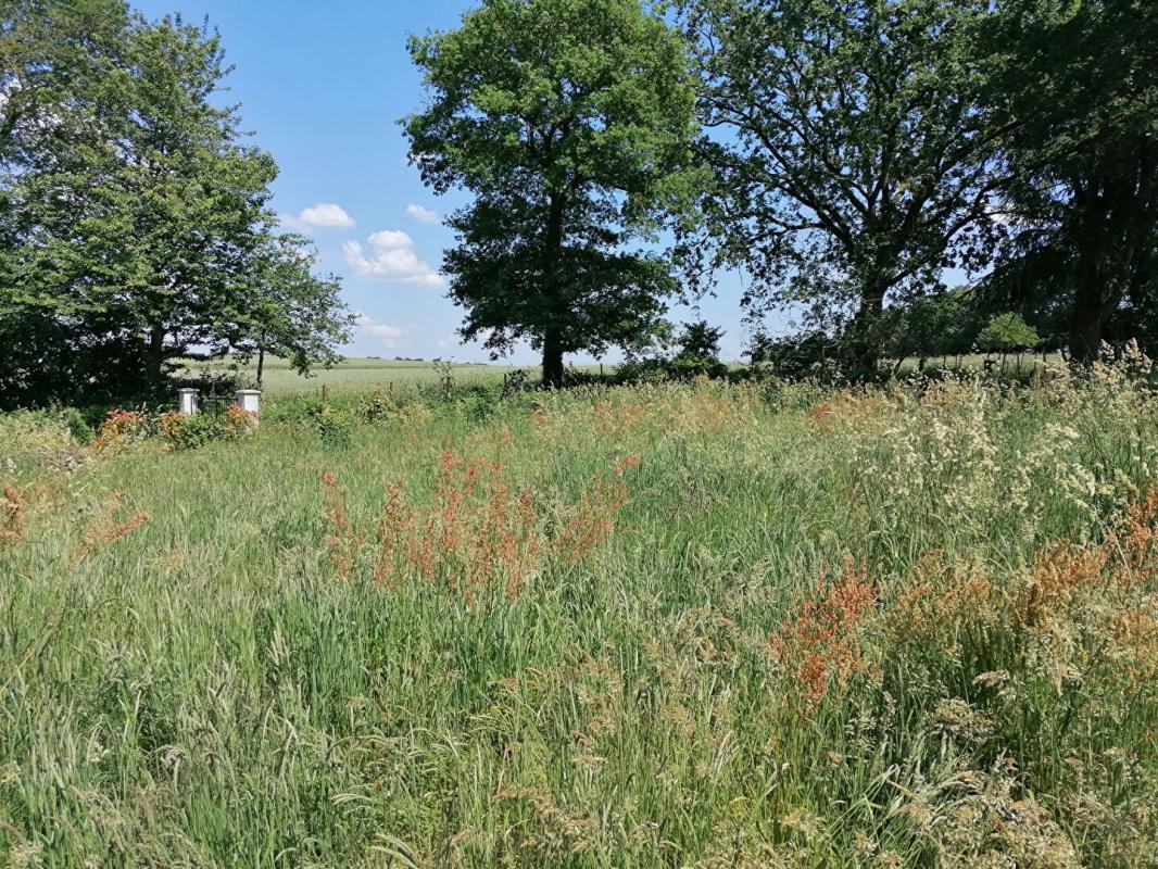 LOYAT Terrain constructible 2259 m² ? Loyat ? 44 990  FAI 8