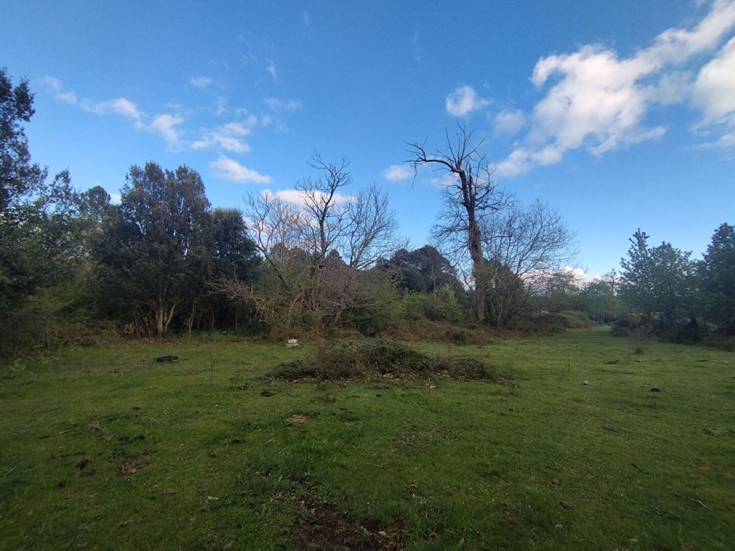 QUENZA Terrain 3000 m2 - Quenza (Alta Rocca, Corse-du-Sud) 1