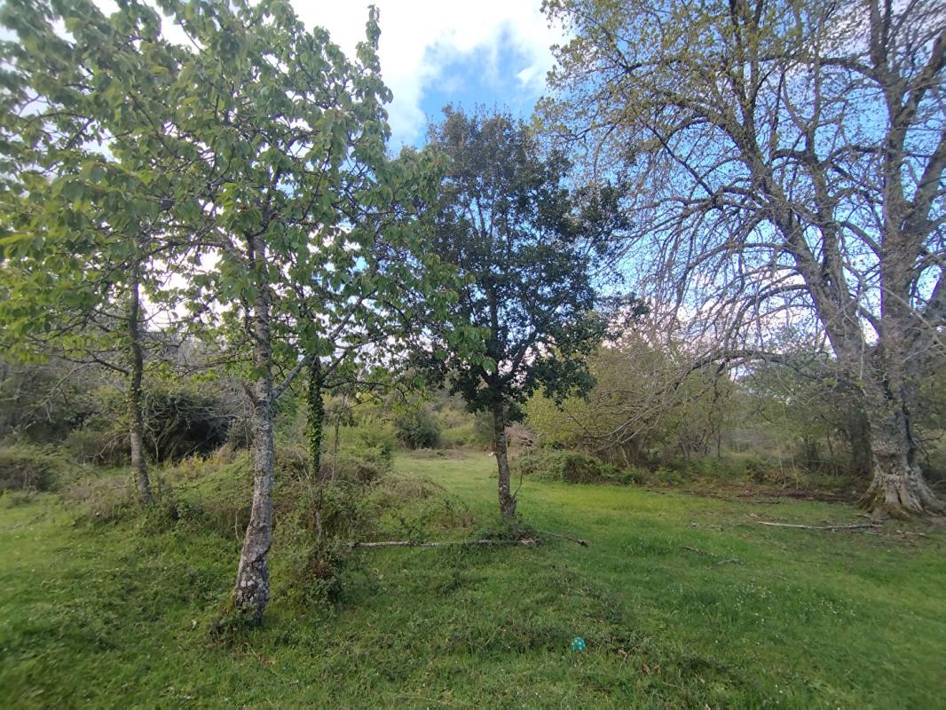 QUENZA Terrain 3000 m2 - Quenza (Alta Rocca, Corse-du-Sud) 2