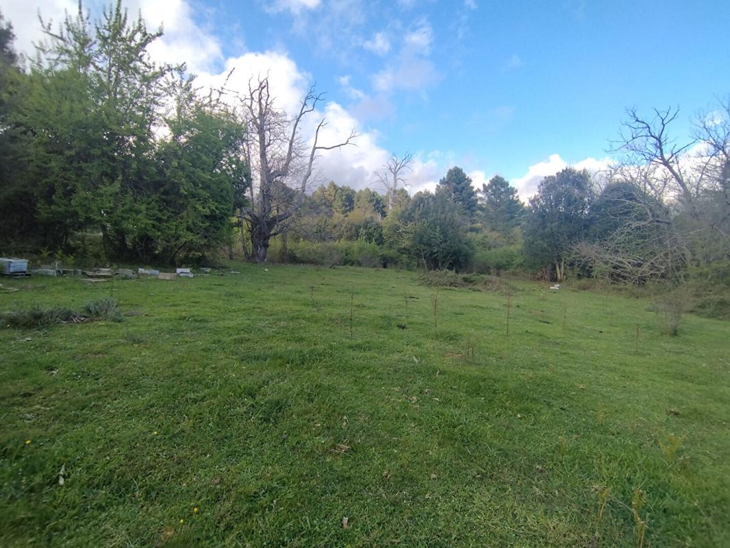 QUENZA Terrain 3000 m2 - Quenza (Alta Rocca, Corse-du-Sud) 4