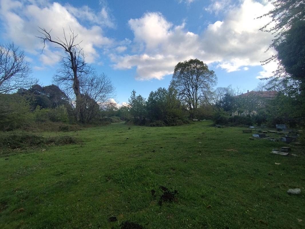 QUENZA Terrain 3000 m2 - Quenza (Alta Rocca, Corse-du-Sud) 5