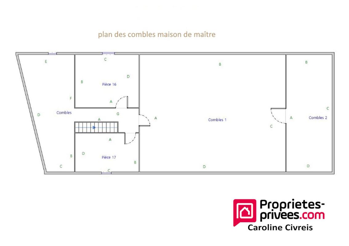 THENEUILLE Maison de maitre avec annexes et prés potenteils . Habitation et profession libérale 11