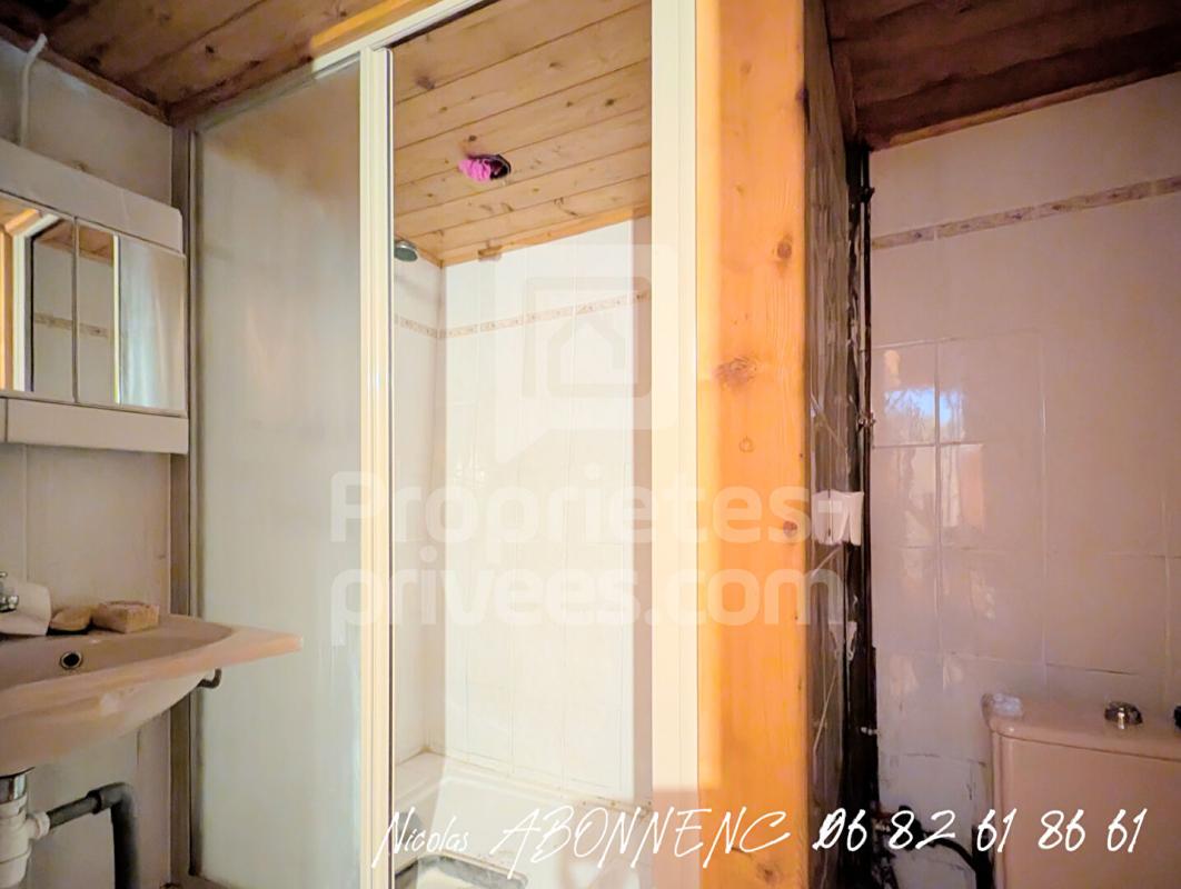 SAINT-CHRISTOPHE-EN-OISANS Maison Saint Christophe En Oisans 3 pièce(s) 67 m2 10