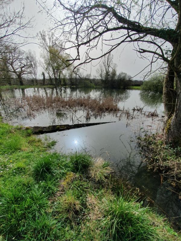 LUANT Corps de ferme Luant 7 pièce(s) + granges + dépendances sur 2 ha 7