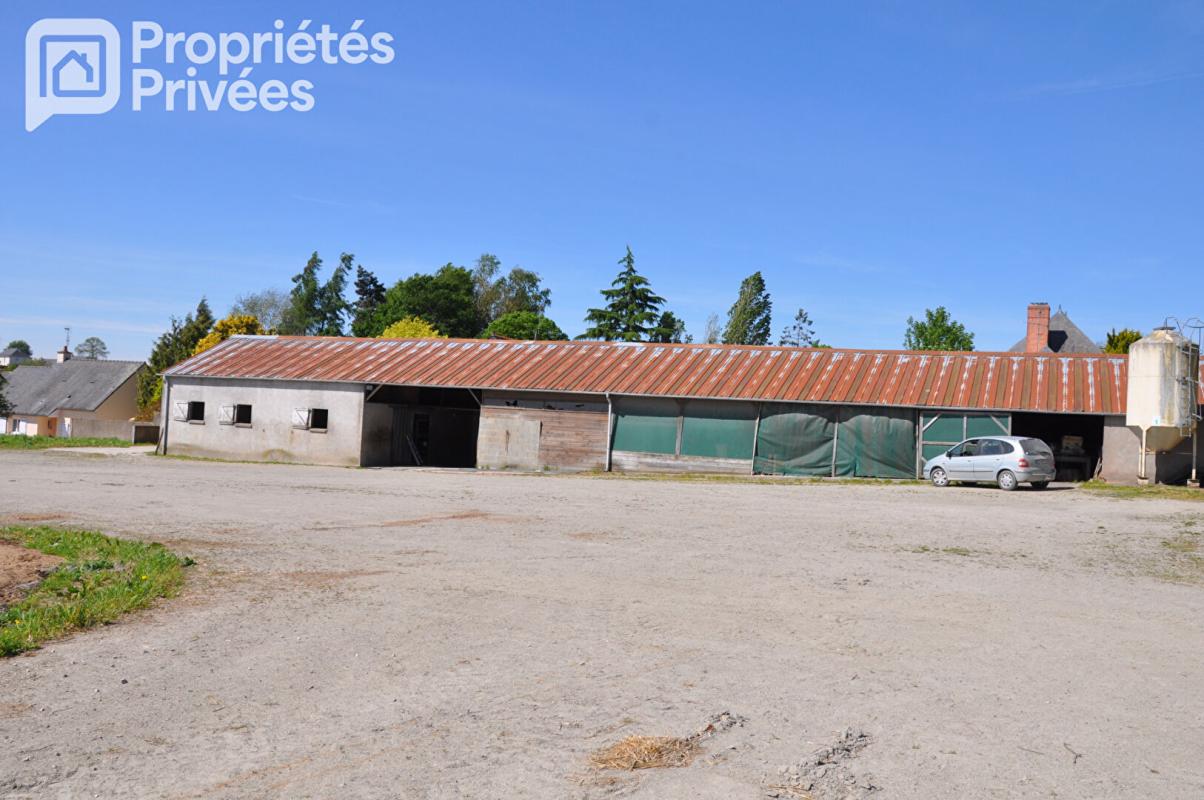 LAVAL MAYENNE - CENTRE EQUESTRE 7 HECTARES, HANGAR, STUDIO 1